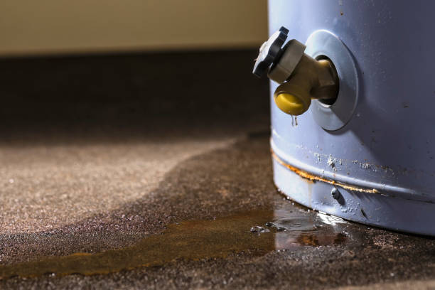 Best Fire Damage Restoration  in Cedar Hills, UT