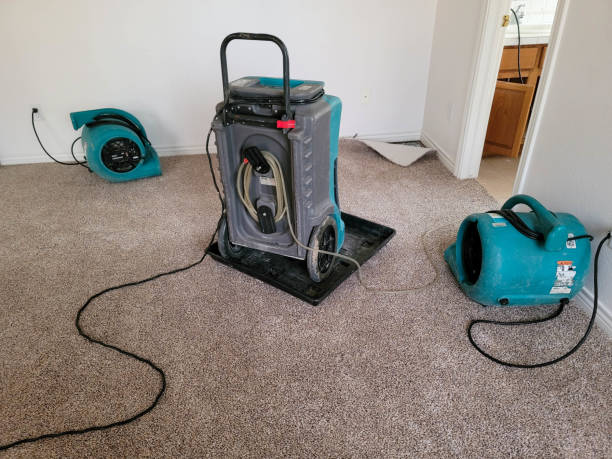 Best Ceiling water damage repair  in Cedar Hills, UT