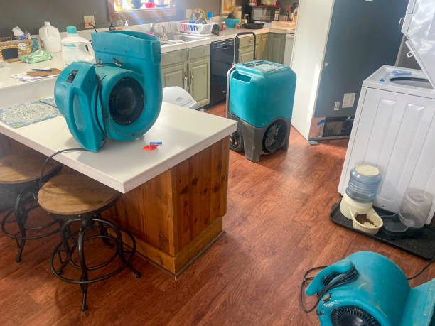 Best Local water damage restoration  in Cedar Hills, UT
