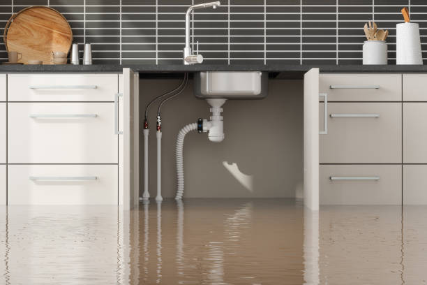 Best Water damage restoration near me  in Cedar Hills, UT