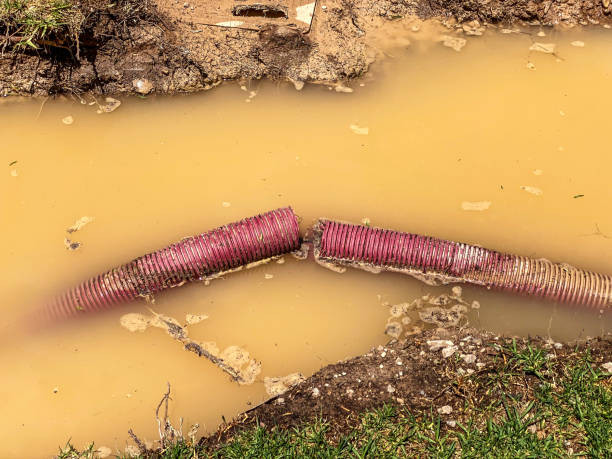 Best Flood damage cleanup  in Cedar Hills, UT