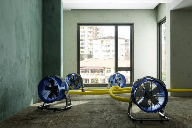 Best Water damage cleanup near me  in Cedar Hills, UT